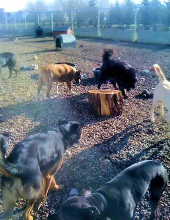 Play Time